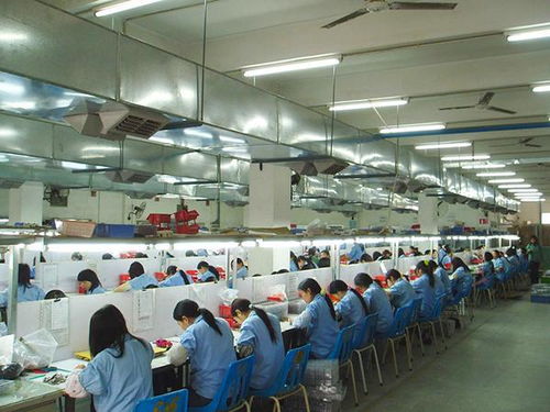 高考狂魔連續(xù)復(fù)讀14年,把高考做成一門生意經(jīng),最終被生活反噬