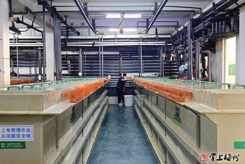 無(wú)廢工廠，向綠而行——記者帶你探訪博敏電子股份電器制造基地